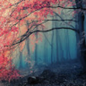 Meet your Posher, Lina